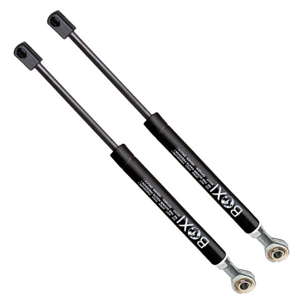 BXC300004190-2_2 BXC300004190-2_2