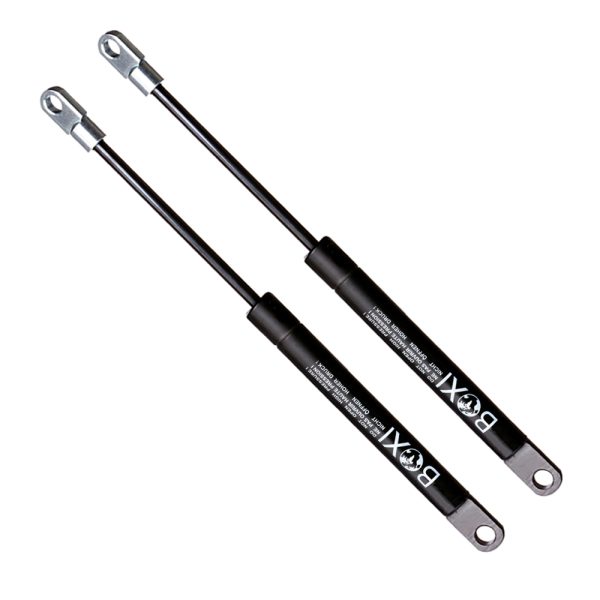 BXC300006010-2_2 BXC300006010-2_2