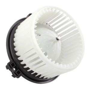 Climate Control Blower Motor